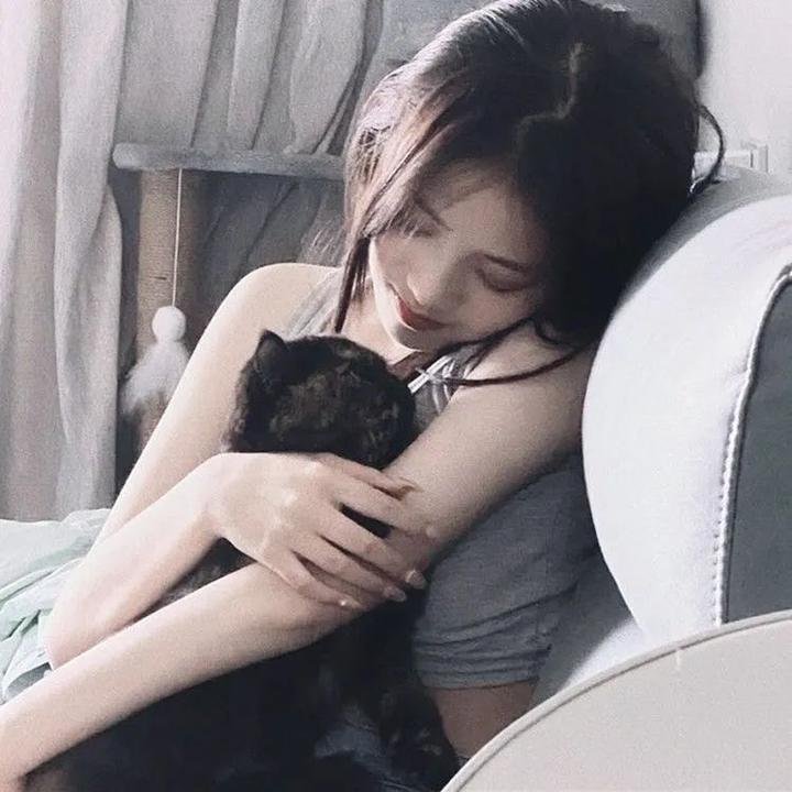 我爱猫头鹰